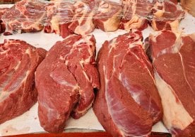 Узоқ яшаш сирини қидирган одамлар кўп. Лекин баъзи