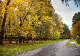 Kelgusi hafta boshida kutilayotgan ob-havo ma'lum qilindi фото