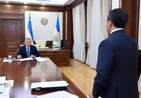 2026 йилдан бошлаб Ижтимоий ҳимоя жамғармаси ҳомиладорлик