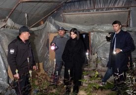 Ўзбекистон Президенти Администрацияси раҳбари Саида