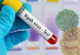 Белгияда Токио университети олимлари томонидан Нипах