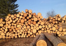 Австриядан Қатарга қурилиш учун етказиб берилаётган ёғоч