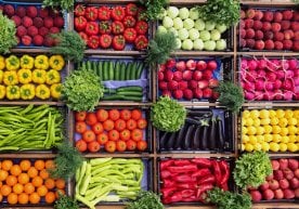 Ҳукумат томонидан тасдиқланган янги қарорга биноан,