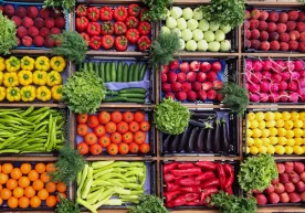 Ҳукумат томонидан тасдиқланган янги қарорга биноан,