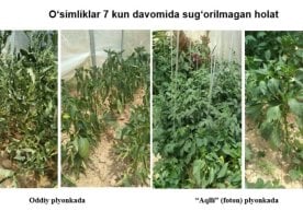 Ўзбекистон Фанлар академияси Материалшунослик институти