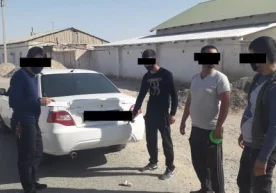 Фото: Фарруҳ Якубов Навоий вилоятининг Хатирчи туманида
