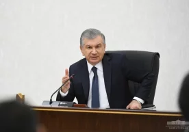 So‘nggi uch yilda O‘zbekistonda umumiy maydoni 41 million