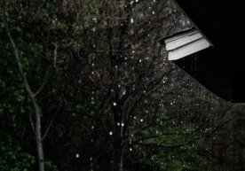 Тошкентда 9-декабр куни ўзгарувчан булутли об-ҳаво ва