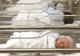 2025 йилнинг январь–сентябрь ойлари мобайнида Ўзбекистонда