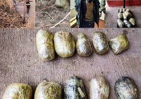 Ўзбекистон Давлат хавфсизлик хизмати ҳузуридаги чегара