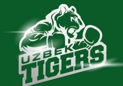«Uzbek Tigers» Бутунжаҳон бокс сериясидан чиқариб юборилди фото
