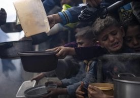 Исроил қамоқхоналаридаги фаластинлик маҳбуслар ҳолати