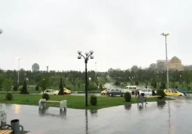 Ўзгидромет маълумотига кўра, яқинлашиб келаётган дам олиш