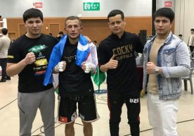 Профессионал бокснинг енгил (-61,2 кг) вазн тоифасида