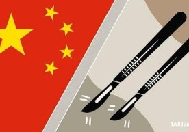Бирлашган Миллатлар Ташкилоти инсон ҳуқуқларига ғамхўрлик