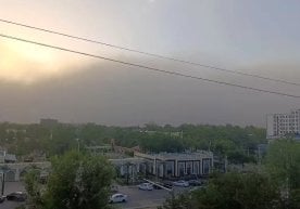 17 май куни Тошкент шаҳрида тушдан кейин жуда кучли чанг