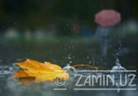 Navbatdagi hafta avvalidan O‘zbekistonning ayrim