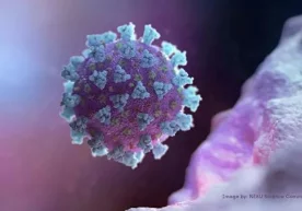 Фото: Reuters Олимлар янги коронавирусни кўпчилик