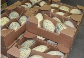 Ригадаги Ўзбекистон элчихонаси кўмаги билан Латвиянинг