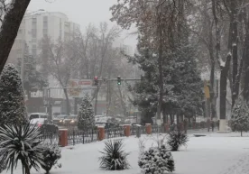 O‘zgidromet 8-dekabr kuni kuzatiladigan ob-havo holati