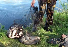 Балиқ овлаш кўпчилик учун энг севимли машғулот. Дам олиш