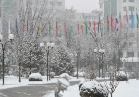 “Ўзгидромет” 14 январь, чоршанба куни кутилаётган об-ҳаво