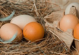 Қозоғистонда учинчи мамлакатлар ва Евроосиё иқтисодий