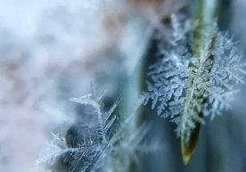 5-ноябр, чоршанба куни Ўзбекистоннинг тоғли ҳудудларида