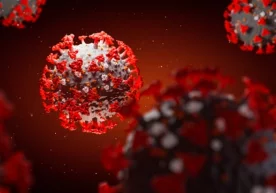 Фото: iStock / Getty Images Covid -19 эпидемияси авж олиши