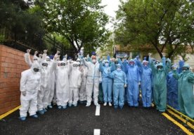 Toshkentda bir kunda 140 bemor tuzalib, rekord qayd etildi фото