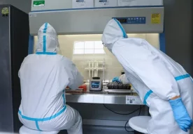 Фото: AP Photo Тобора кўпроқ тадқиқодчилар, асосан,