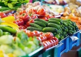 BMTning Oziq-ovqat va qishloq xo‘jaligi tashkiloti (FAO)