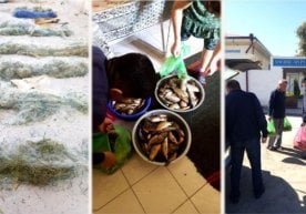 Браконьерлардан олиб қўйилган қиймати 50 млн сўмлик балиқлар қариялар уйига топширилди фото