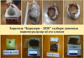 Xorazmda “Qoradori – 2020” tadbiri davomida narkokurerlar qo‘lga olindi фото