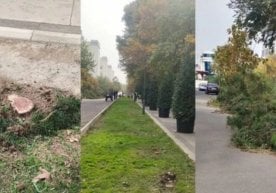 Тошкент шаҳрининг марказида жойлашган Яккасарой туманида