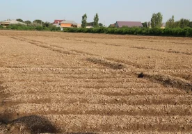 Фото: Прокуратура департаменти. Бош прокуратура ҳузуридаги