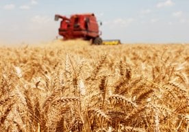 Елімізде ауыл шаруашылығы еңбеккерлерін ынталандыруға және
