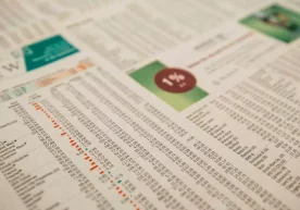 During October 24-31, many highly liquid shares on the