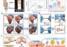 Ўзбекистон Фанлар академиясининг Полимерлар кимёси ва