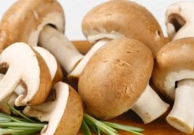 They will cheer you up and "fix" your digestion: the most useful mushrooms фото