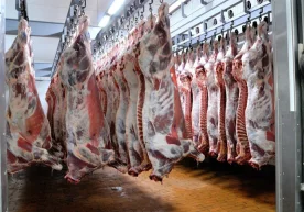 Мўғулистон 2022 йилнинг 10 ойида Ўзбекистонга 500 тонна