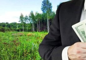 Наманган вилояти Чуст туманида 49 йил муддатга фермер