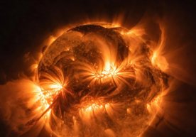 Científicos han logrado avances significativos en el campo