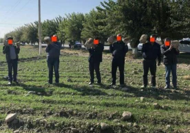 27 oktyabr kuni internetdagi bosh mavzu Toshkent viloyati,