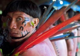 Amazoniya hindulari koronavirus sababli qirilib ketishi mumkinligi taxmin qilindi фото