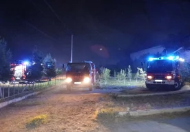 Фото: ФВВ матбуот хизмати Сирдарё вилояти маркази Гулистон