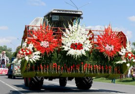 «1 milliardlik xarajat, 3,5 milliardlik qarz va gullar…» – Namangandagi gullar festivali фото