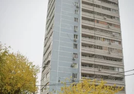 Фото: Instagram/@valdemarios Тошкентда 23 февраль куни ёш