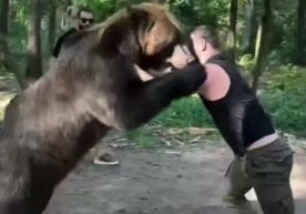 Ижтимоий тармоқларда Арсланбек Маҳмудов ўрмонда айиқ билан