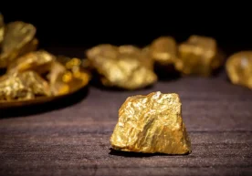 Маълум қилинишича, мустақилликнинг дастлабки 25 йиллик